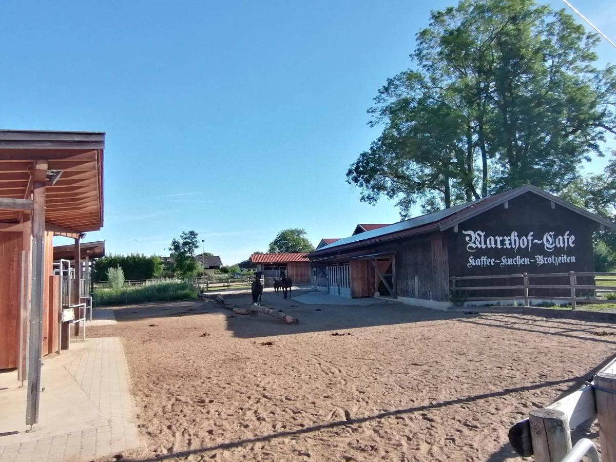 Tiny X Im Marxhof Seebruck Am Chiemsee Seeon-Seebruck Ngoại thất bức ảnh