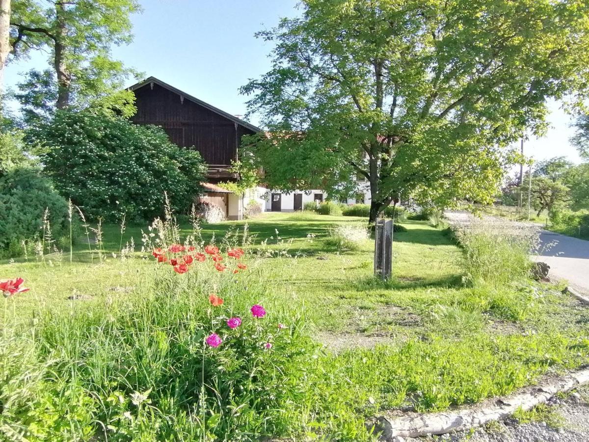 Tiny X Im Marxhof Seebruck Am Chiemsee Seeon-Seebruck Ngoại thất bức ảnh